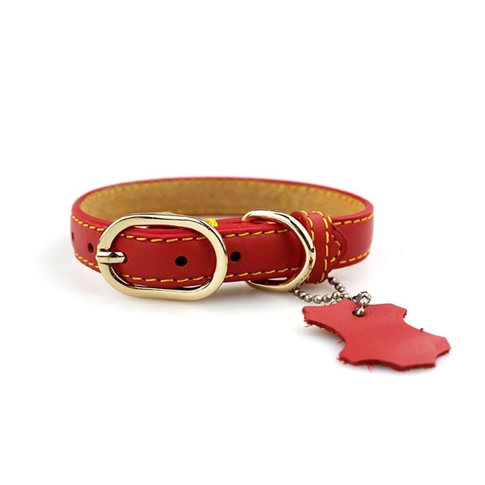 Leather Dog Neck Collar with Hangtag
